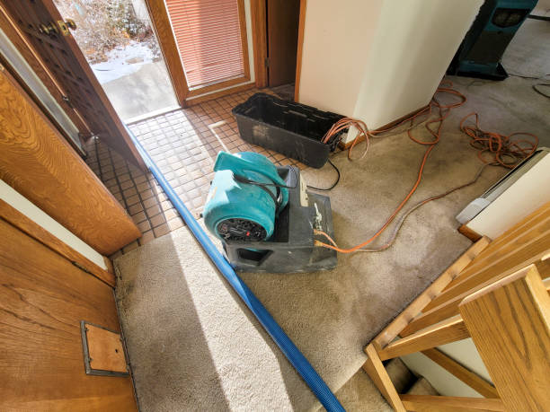 Best Flood damage cleanup  in Brooklyn Park, MD