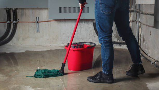 Best Water damage contractors near me  in Brooklyn Park, MD
