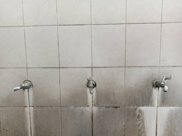Best Professional water damage repair  in Brooklyn Park, MD