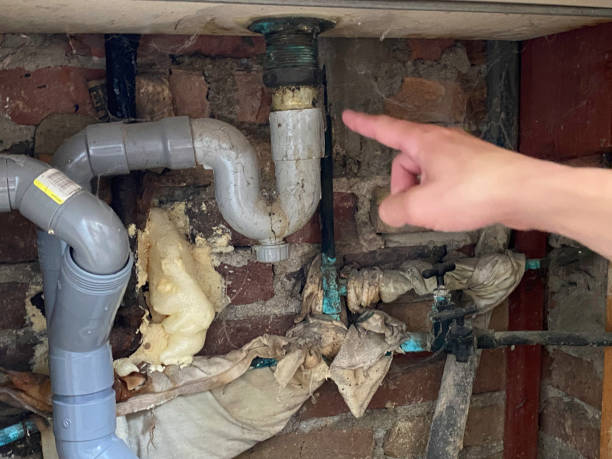 Best Local water damage restoration  in Brooklyn Park, MD